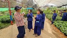680410 สมุนพระรามนำต้นกล้าดอกไม้ที่เพาะไว้ออกขายเป็นครั้งแรกในตลาดอาริยะ 55.jpg