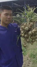 690306 สสธ ม1  ร่วมงานพุทธา ไปเนินพอกิน 47.JPG
