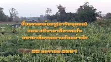 สื่อธรรมะพ่อครู(อาริยบุคคล) ตอน สกิทาคามีมรรคกับอนาคามีมรรคต่างกันยังไง (1).mp4