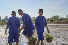 680111 กิจกรรมดำนาวันเด็กแห่งชาติ ของนร.สสธ.และสมุนพระราม 101.jpg