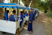 671228 สมุนพระรามเข้าค่าย เรียนการปรับปรุงพันธุ์พุทธรักษา เล่นเกมกินวิบาก พาทัวร์รถราง 337.jpg