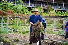 680224 วันบวร ชาวชุมชนสีแดง และ นร.ม.1 ปลูกหัวไชเท้า 9.jpg