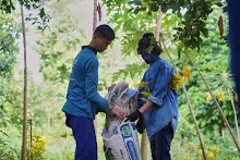 A7C01181.jpg