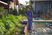 680103 สมุนพระรามดูแลสวนเช้า เย็น เปียหม่องเริ่มทำน้ำตก 73.jpg