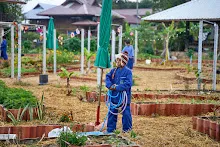 671225 สมุนพระรามเตรียมตัวไปแสดงที่ห้างสุนีย์ ในวันคริสมาสต์ 35.jpg
