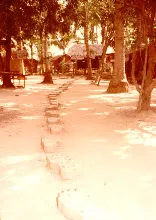 Ptr_346.jpg