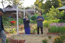 680110 สมุนพระราม ทำ 5 ส ปลูกต้นองุ่น ปรับปรุงแปลงดอกไม้ 95.jpg
