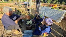 671201 นร.สมุนพระราม บูรณาการวิชาการงานฯ ทำข้าวจี่เพื่อสุขภาพ 121.jpg