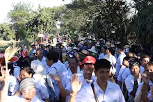 671229 ขบวนแห่พืชพันธุ์ธัญญาหารในงานเพื่อฟ้าดิน 155.JPG