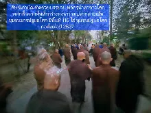 680209 เดินตามรอยโพธิสัตว์ งานพุทธาฯปฐมอโศก ต้นทองหลาง สังเคราะห์แสง 3.jpeg
