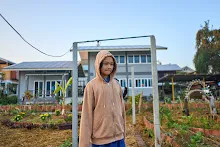 680608 สมุนพระรามเก็บเมล็ดพันธุ์ดอกไม้กินได้ที่สวน ไปขนดินปลูก 2.jpg