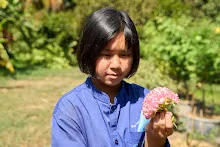 680202 สสธ.ม.3 ฝึกหัดเพาะชำต้นไม้แบบควบแน่น ไปสวนไวพลัง 72.jpg