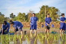680111 กิจกรรมดำนาวันเด็กแห่งชาติ ของนร.สสธ.และสมุนพระราม 60.jpg