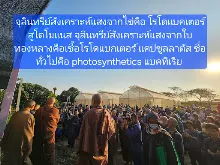 680209 เดินตามรอยโพธิสัตว์ งานพุทธาฯปฐมอโศก ต้นทองหลาง สังเคราะห์แสง 39.jpeg