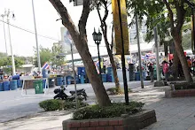 IMG_0781.JPG
