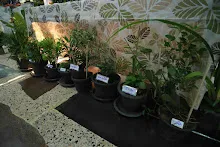 680322 ตลาดนัดวิชาการสัมมาสิกขา อาชีวะ  49.jpeg