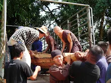 9947 1004_008.JPG