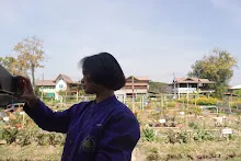680202 สสธ.ม.3 ฝึกหัดเพาะชำต้นไม้แบบควบแน่น ไปสวนไวพลัง 397.JPG