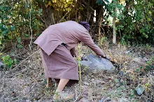 671221 เช้าสมุนพระรามดูแลสวน และขนหินทำน้ำตก บ่ายเล่นเกมกับครูโหน่ง 87.jpg