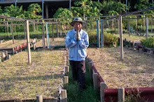 DSC05179.jpg