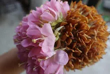 680202 สสธ.ม.3 ฝึกหัดเพาะชำต้นไม้แบบควบแน่น ไปสวนไวพลัง 280.JPG