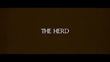The Herd - Breathtaking Short Film.mp4