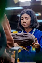 680411 พิธีรับกลด นักเรียนและนิสิตสัมมาสิกขา ปี 68 76.jpg