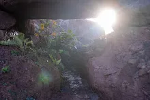 DSC05150.jpg