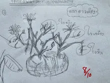 680221 สมุนพระรามหัดสังเกต 9 อาการผิดปกติของพืช 24.jpg