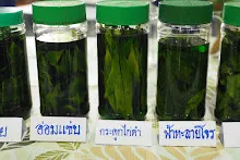680322 ตลาดนัดวิชาการ สส.ธ. 234.jpeg