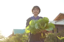 680110 สมุนพระราม ทำ 5 ส ปลูกต้นองุ่น ปรับปรุงแปลงดอกไม้ 66.jpg
