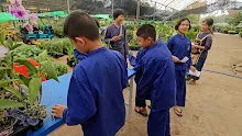680410 สมุนพระรามนำต้นกล้าดอกไม้ที่เพาะไว้ออกขายเป็นครั้งแรกในตลาดอาริยะ 48.jpg