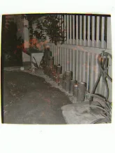 R07 0000_123.JPG