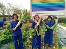 LINE_ALBUM_680219 สมุนพระรามเก็บหัวไชเท้า_250225_60.jpg