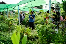 680419 ครูดีไม่มีอบายมุข รุ่น 14 เข้า work shop สวนครอบครัวน่ารัก 107.jpg