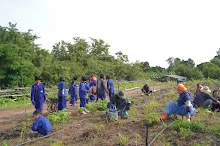 680714 สมุนพระรามร่วมงานวันบวร ถอนหญ้าสวนกตัญญูแผ่นดิน 31.JPG