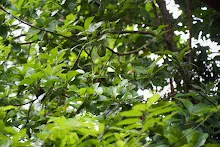 A7C01891.jpg