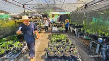 680419 ครูดีไม่มีอบายมุข รุ่น 14 เข้า work shop สวนครอบครัวน่ารัก 36.jpg