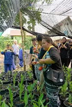 680329 นศ.ม.มหิดล คณะสาธารณสุขศาสตร์ ปี2 เยี่ยมชมดูงานสวนครอบครัวน่ารัก 20.jpg
