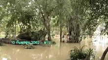 สื่อธรรมะพ่อครู(จิตว่าง) ตอน วิเวก 3 คืออะไร-_.mp4