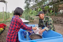 671213 ภาพ การเลี้ยงผำในอ่างพลาสติก ปสช.บิวตี้ บอส 54.jpg