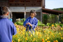 680117 สมุนพระรามปรับปรุงสวน ทาสีเสาป้ายสวนครอบครัวน่ารัก 72.jpg