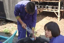 680202 สสธ.ม.3 ฝึกหัดเพาะชำต้นไม้แบบควบแน่น ไปสวนไวพลัง 556.JPG
