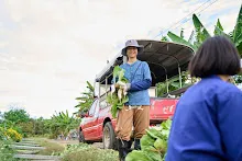 680224 วันบวร ชาวชุมชนสีแดง และ นร.ม.1 ปลูกหัวไชเท้า 82.jpg