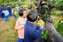 671228 สมุนพระรามเข้าค่าย เรียนการปรับปรุงพันธุ์พุทธรักษา เล่นเกมกินวิบาก พาทัวร์รถราง 16.jpg