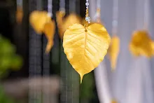 DSC03506.jpg