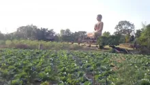 สื่อธรรมะพ่อครู(วรรณะ 9) ตอน วรรณะ 9 และมิจฉาวณิชชา 5.mp4