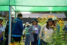 680419 ครูดีไม่มีอบายมุข รุ่น 14 เข้า work shop สวนครอบครัวน่ารัก 362.jpg