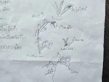 680221 สมุนพระรามหัดสังเกต 9 อาการผิดปกติของพืช 5.jpg