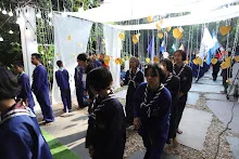 IMG_9953.JPG